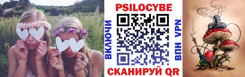 Псилоцибиновые грибы мицелий  Севастополь 